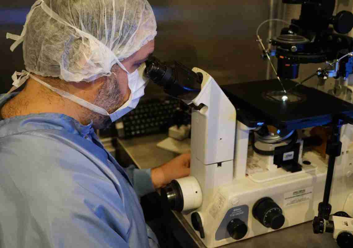 Clínica Sollirium é pioneira na adoção de tecnologia avançada para avaliação de óvulos e melhora precisão no diagnóstico